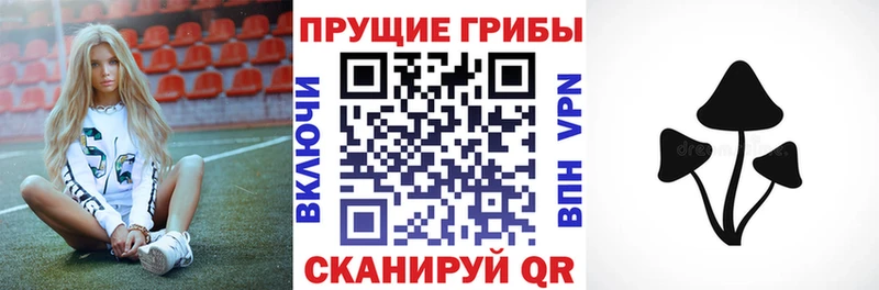 Псилоцибиновые грибы прущие грибы Темрюк